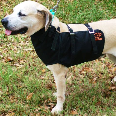 cheap hog dog cut vests